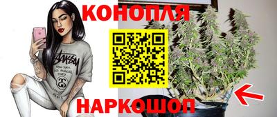 гашик Гусь-Хрустальный