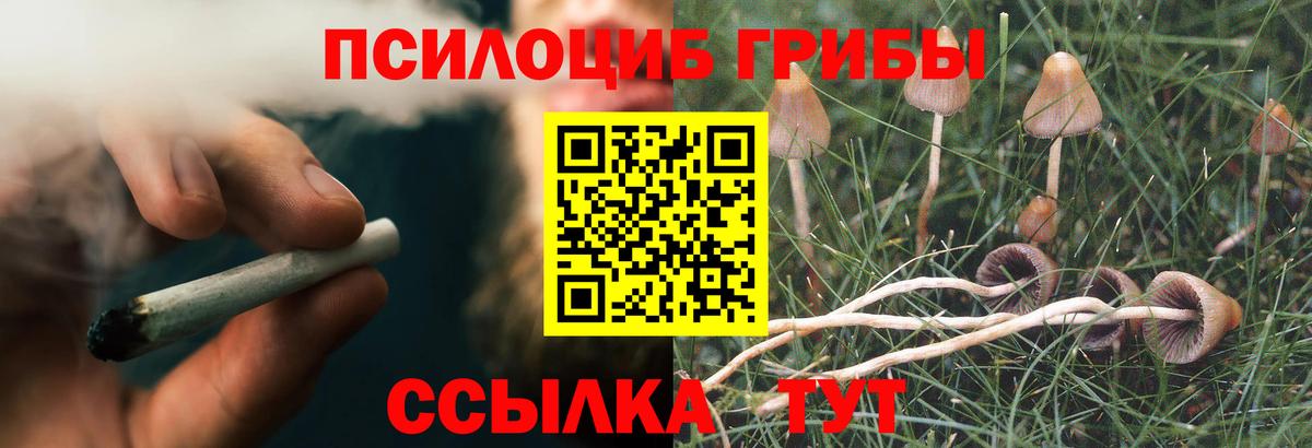Галлюциногенные грибы ЛСД  Вход с VPN  Михайловка 